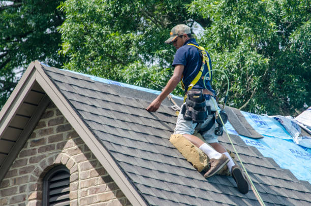 Best Residential Roof Replacement  in Cache, OK